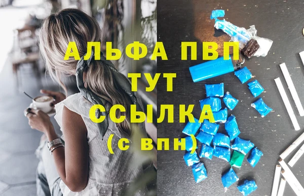 PSILOCYBIN Белокуриха