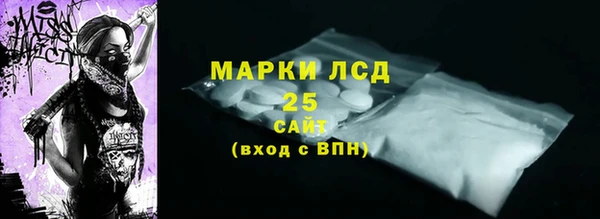 PSILOCYBIN Белокуриха