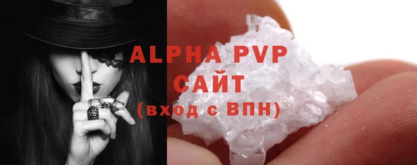 PSILOCYBIN Белокуриха