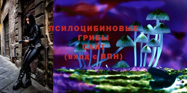 таблы Белоозёрский