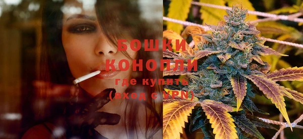 PSILOCYBIN Белокуриха