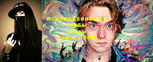 PSILOCYBIN Белокуриха