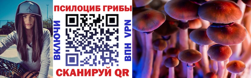 Купить  Курчатов  Псилоцибиновые грибы ЛСД 